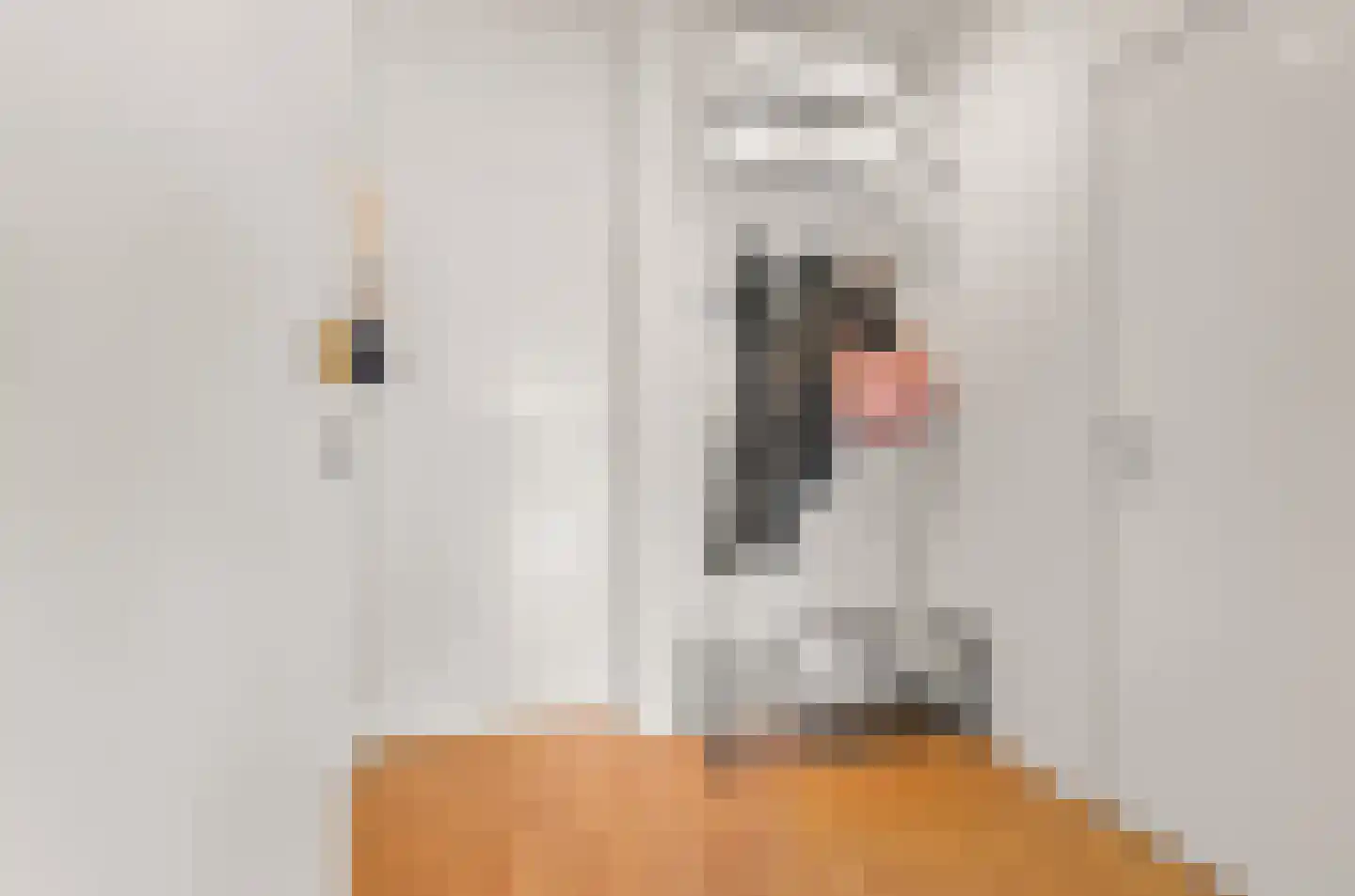 Pernambucodreef 10 Utrecht thumbnail 8