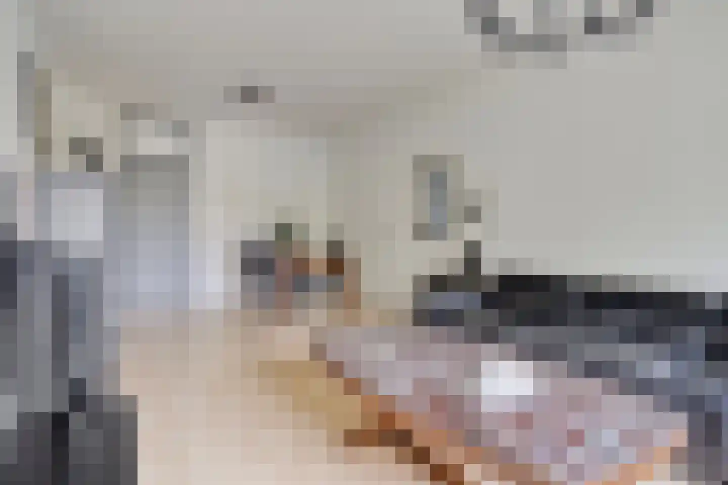Pernambucodreef 13 Utrecht thumbnail 12