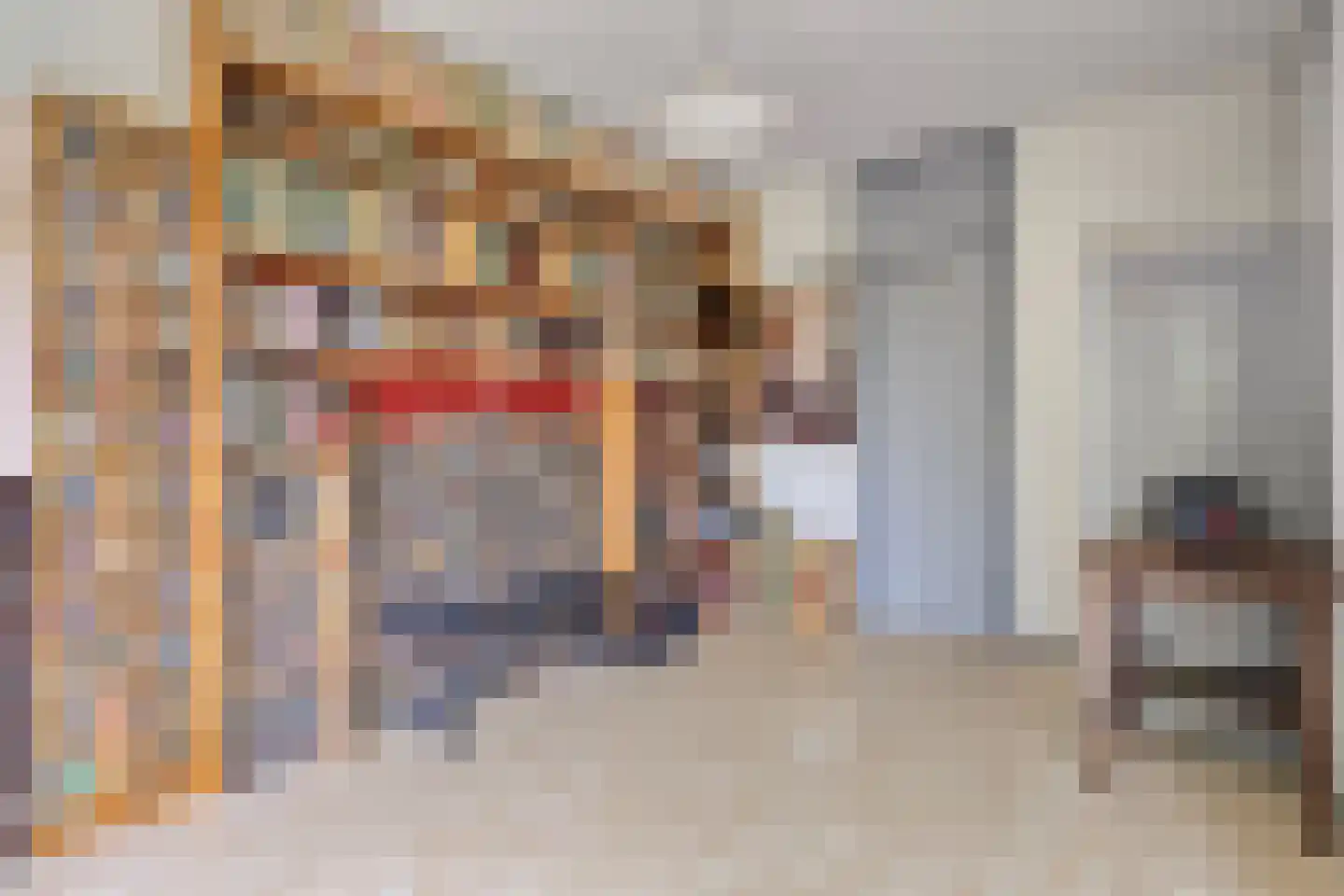 Pernambucodreef 13 Utrecht thumbnail 17