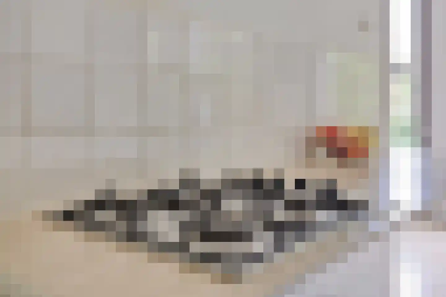 Pernambucodreef 13 Utrecht thumbnail 21