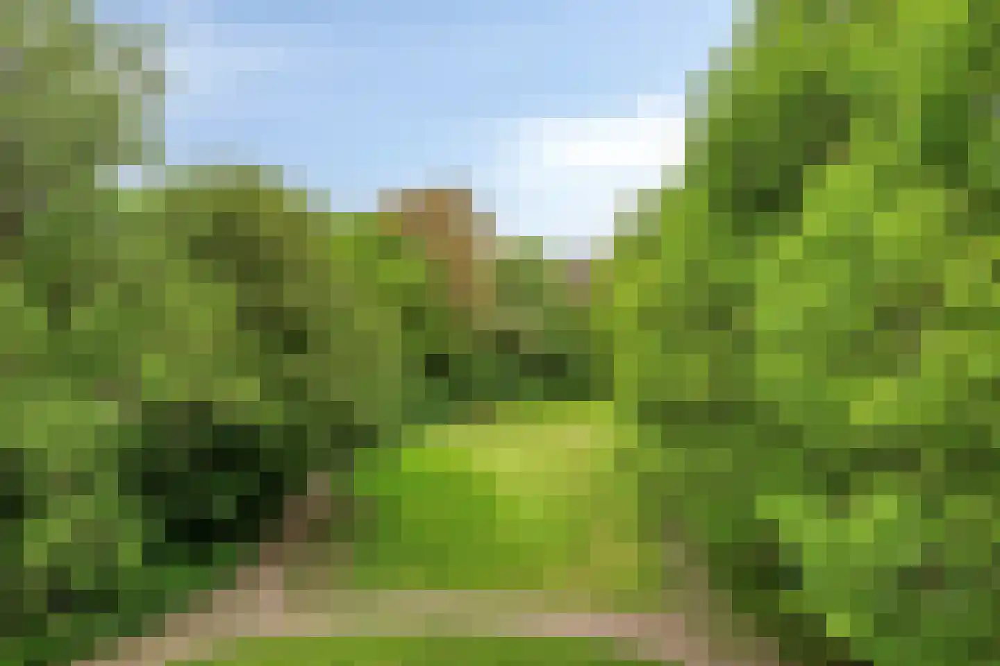 Pernambucodreef 13 Utrecht thumbnail 4