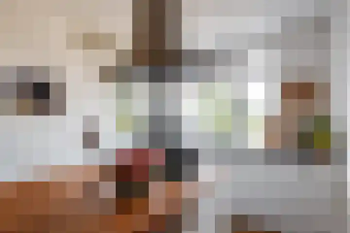 Pernambucodreef 27 Utrecht thumbnail 11