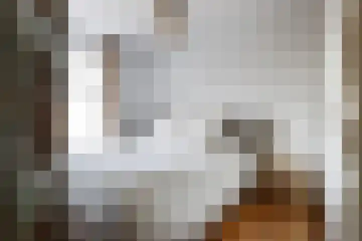 Pernambucodreef 27 Utrecht thumbnail 13
