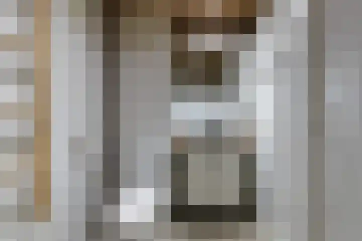 Pernambucodreef 27 Utrecht thumbnail 17