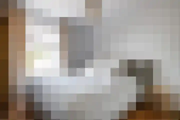 Pernambucodreef 27 Utrecht thumbnail 20