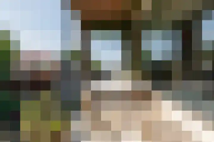 Pernambucodreef 27 Utrecht thumbnail 22