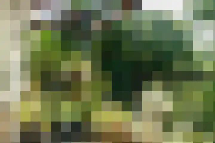 Pernambucodreef 27 Utrecht thumbnail 23