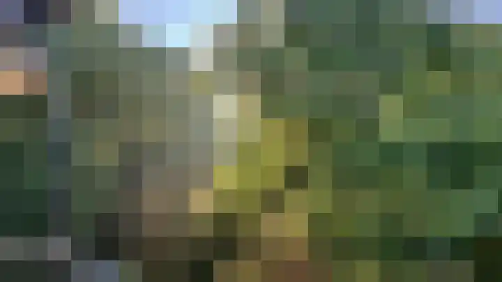 Pernambucodreef 27 Utrecht thumbnail 24