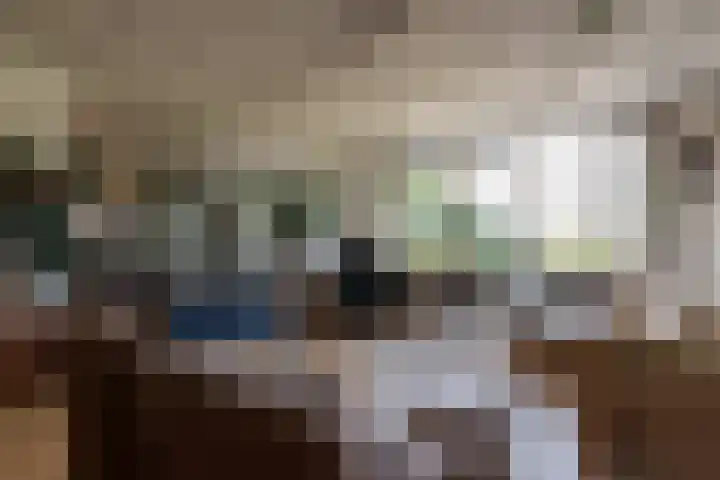 Pernambucodreef 27 Utrecht thumbnail 29