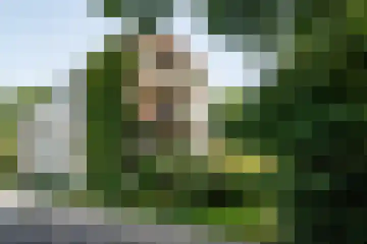 Pernambucodreef 27 Utrecht thumbnail 31