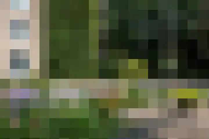 Pernambucodreef 27 Utrecht thumbnail 32