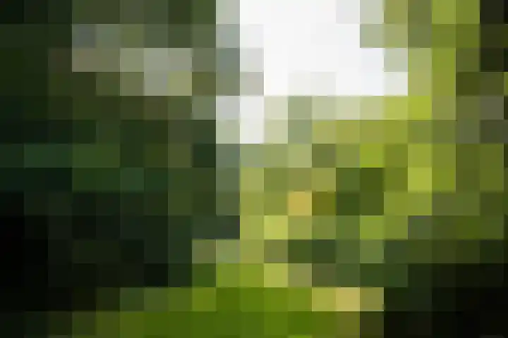 Pernambucodreef 27 Utrecht thumbnail 33