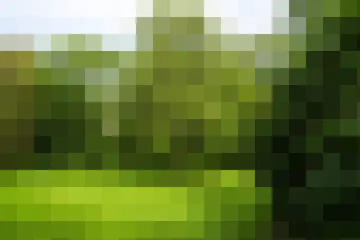 Pernambucodreef 27 Utrecht thumbnail 34
