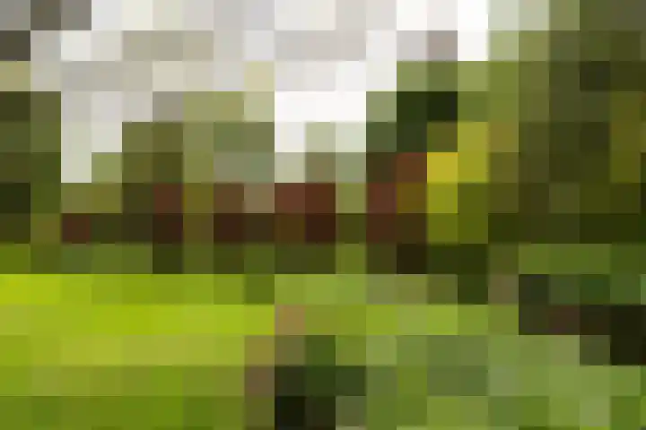 Pernambucodreef 27 Utrecht thumbnail 35