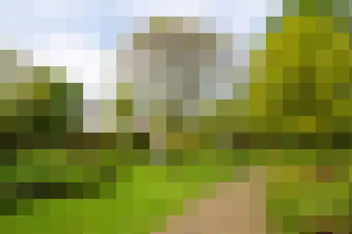 Pernambucodreef 27 Utrecht thumbnail 36