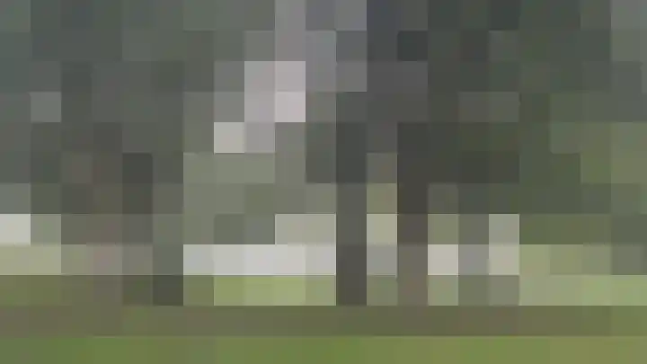 Pernambucodreef 27 Utrecht thumbnail 37