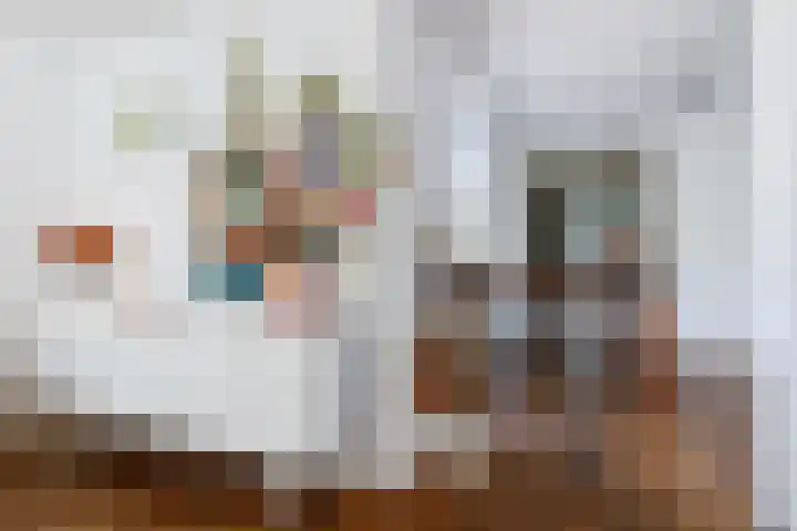 Pernambucodreef 27 Utrecht thumbnail 8