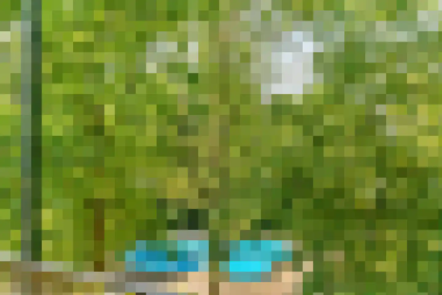 Pernambucodreef 30 Utrecht thumbnail 32
