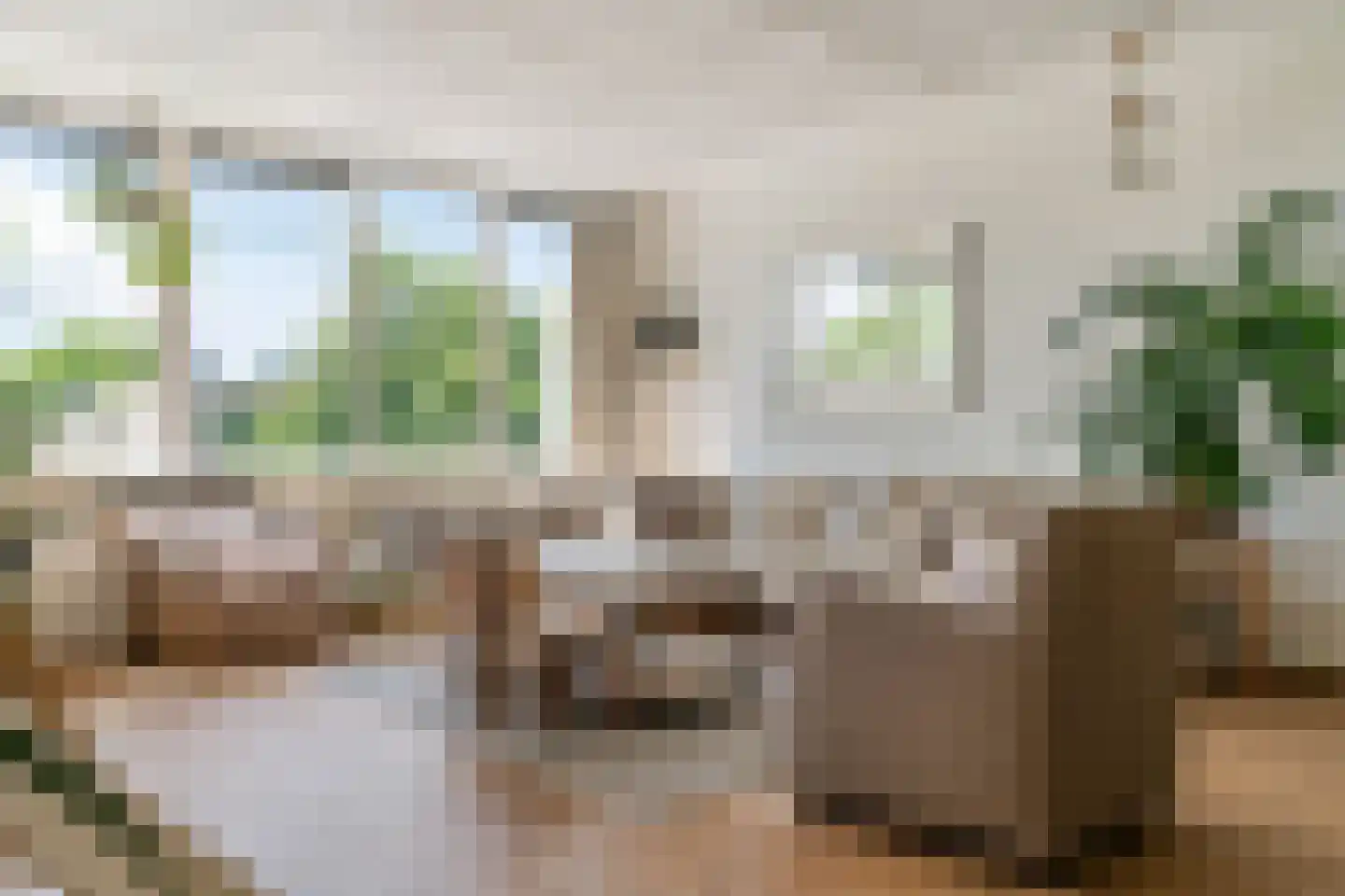 Pernambucodreef 30 Utrecht thumbnail 37