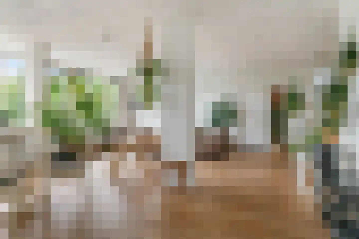 Pernambucodreef 30 Utrecht thumbnail 39