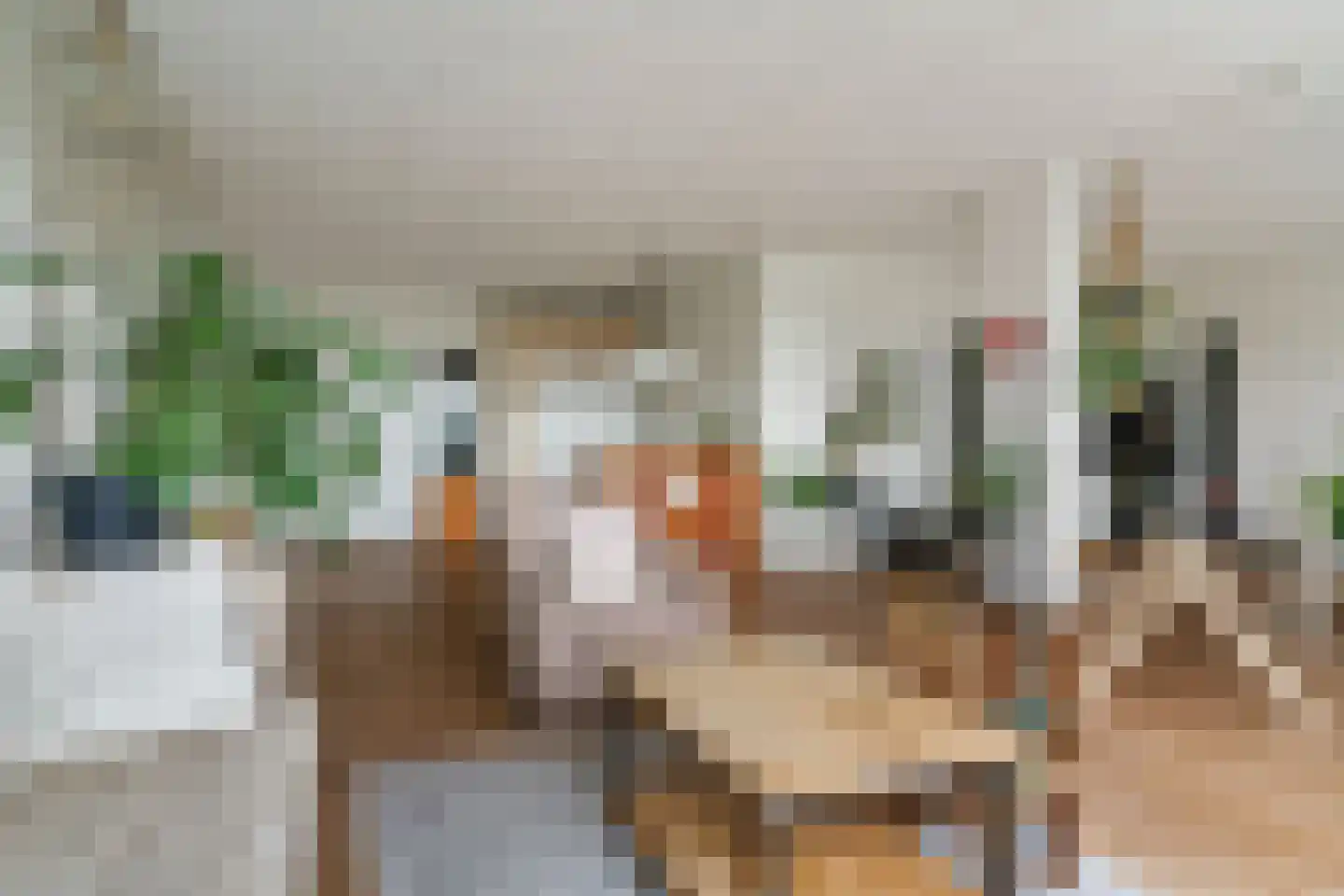 Pernambucodreef 30 Utrecht thumbnail 41