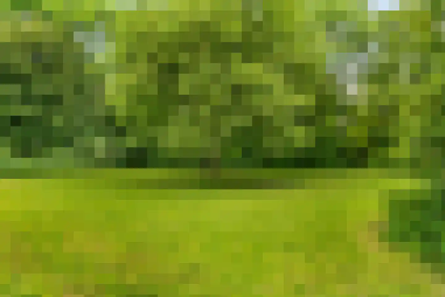 Pernambucodreef 30 Utrecht thumbnail 42