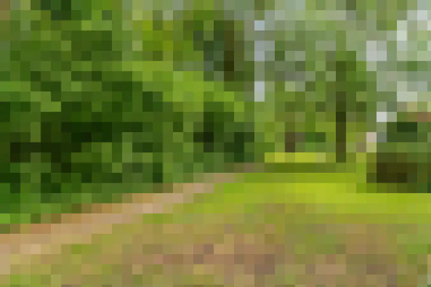 Pernambucodreef 30 Utrecht thumbnail 44