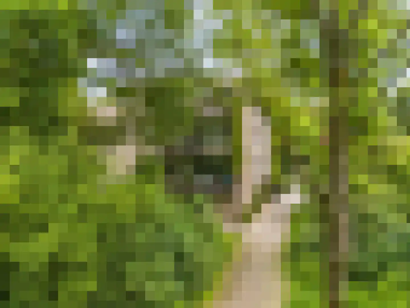 Pernambucodreef 30 Utrecht thumbnail 45
