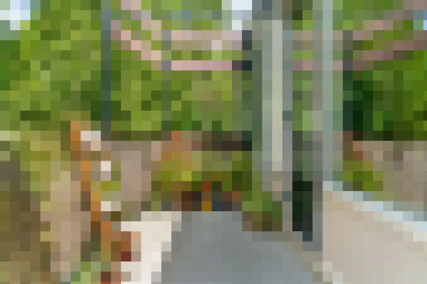 Pernambucodreef 30 Utrecht thumbnail 6