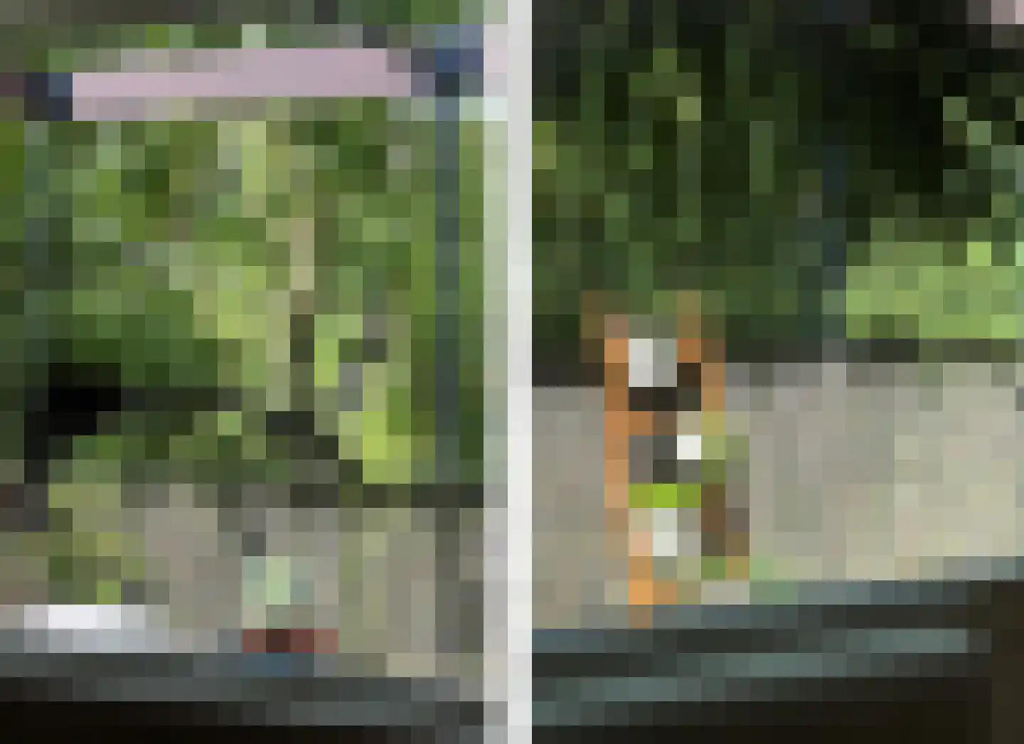 Pernambucodreef 30 Utrecht thumbnail 7