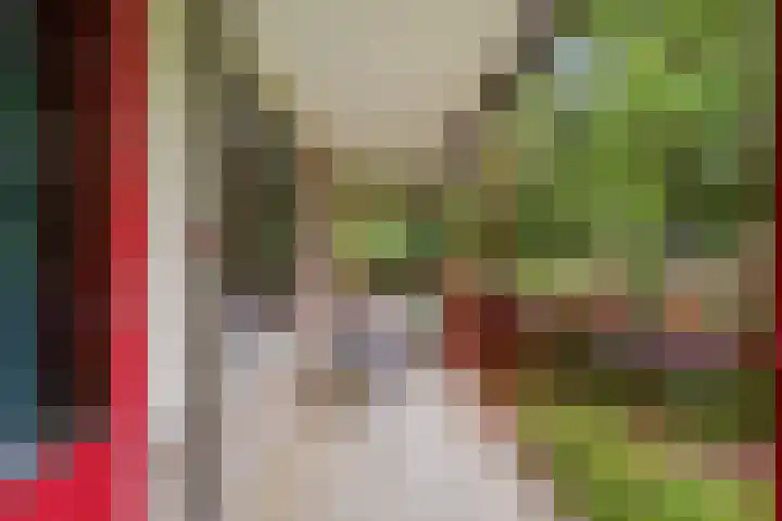 Pernambucodreef 6 Utrecht thumbnail 16