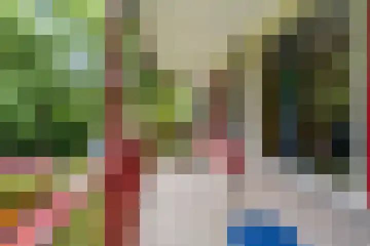 Pernambucodreef 6 Utrecht thumbnail 17