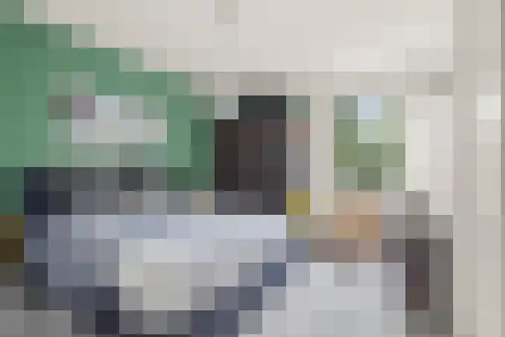 Pernambucodreef 6 Utrecht thumbnail 25