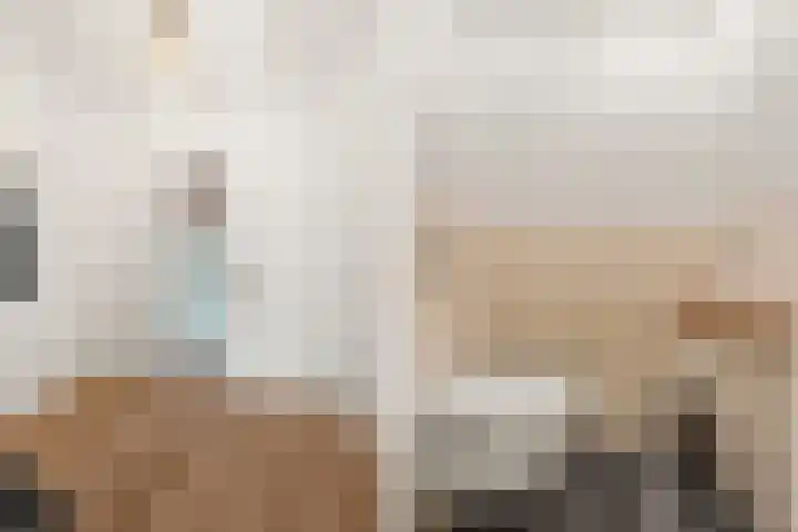 Pernambucodreef 6 Utrecht thumbnail 4