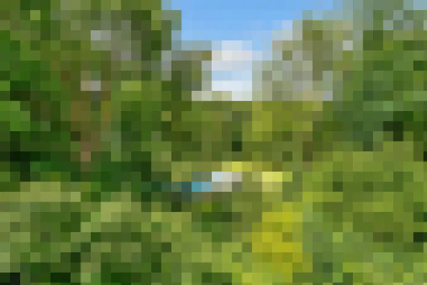 Pernambucodreef 8 Utrecht thumbnail 13