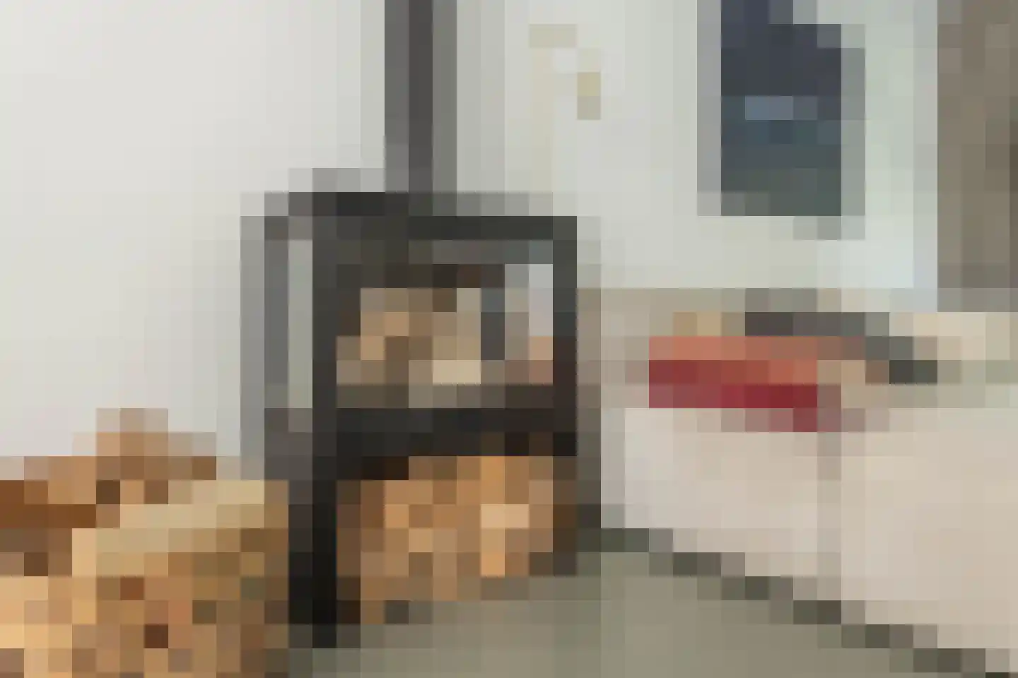 Pernambucolaan 15 Overveen thumbnail 11