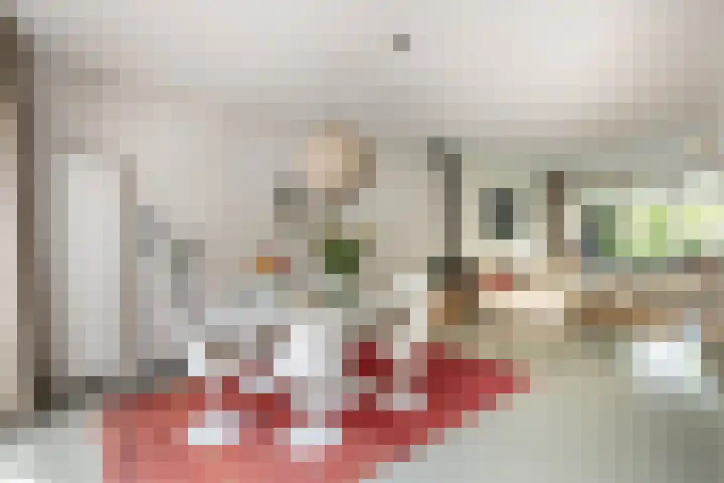 Pernambucolaan 15 Overveen thumbnail 14