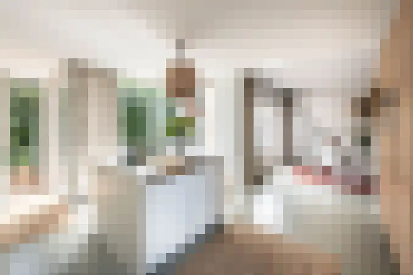 Pernambucolaan 15 Overveen thumbnail 22