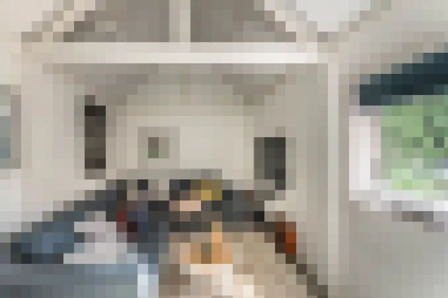 Pernambucolaan 15 Overveen thumbnail 23