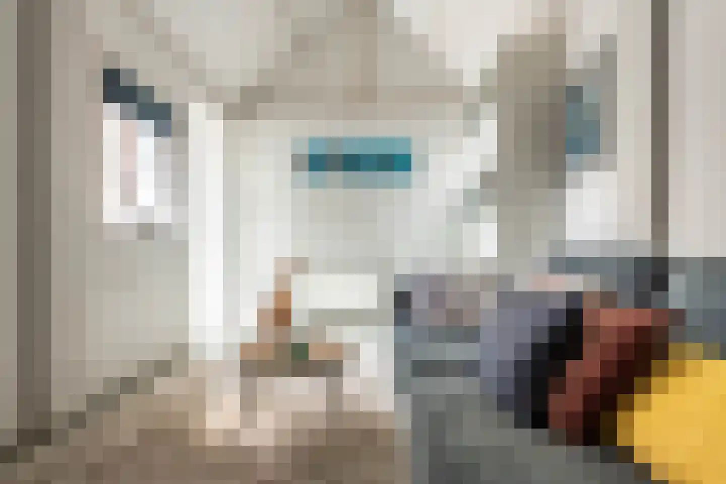 Pernambucolaan 15 Overveen thumbnail 25