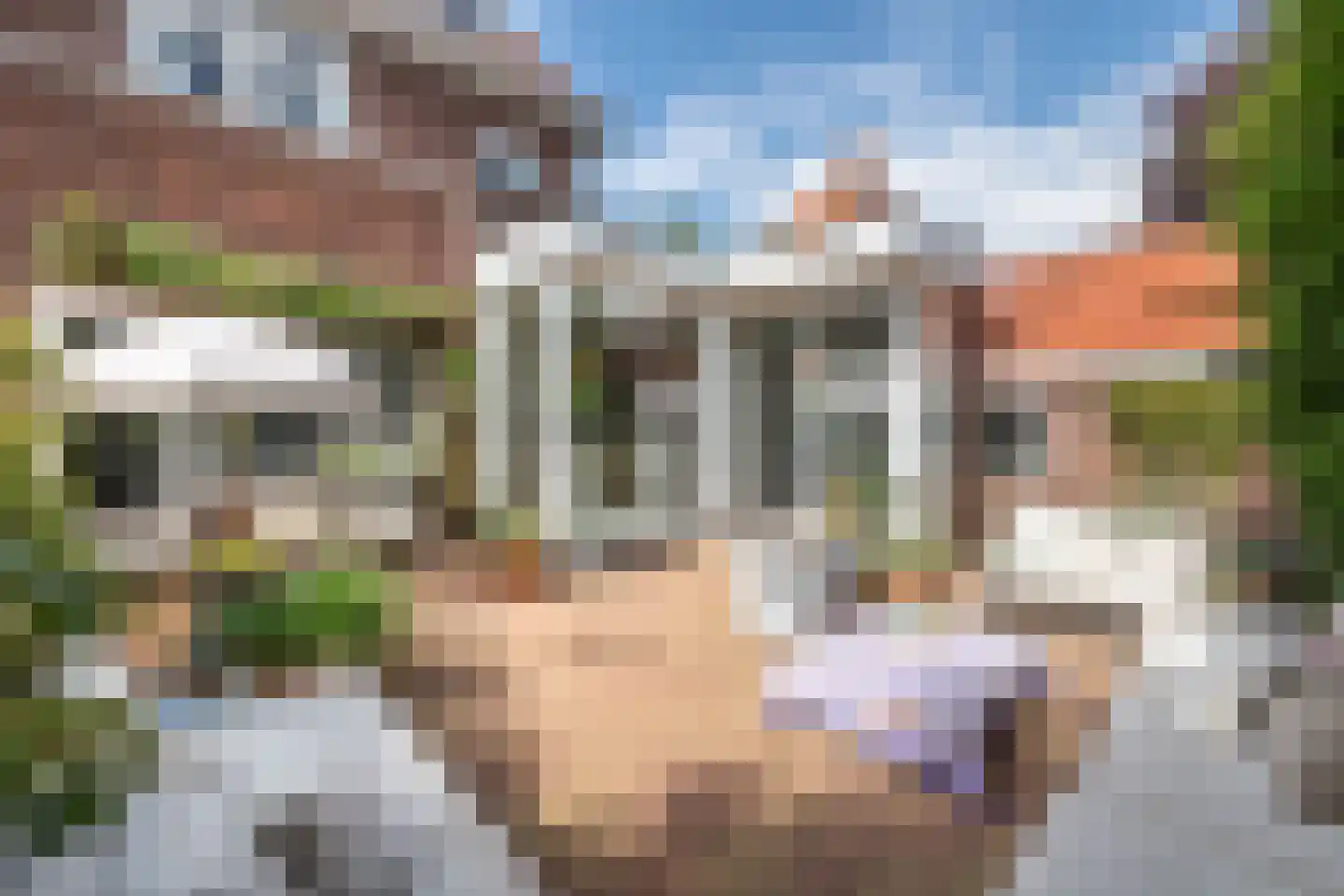 Pernambucolaan 15 Overveen thumbnail 27