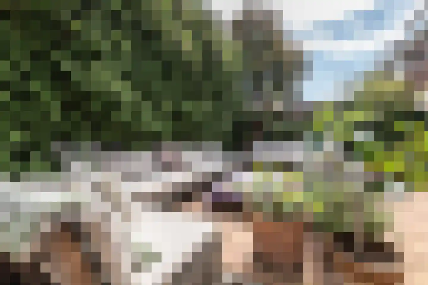 Pernambucolaan 15 Overveen thumbnail 29