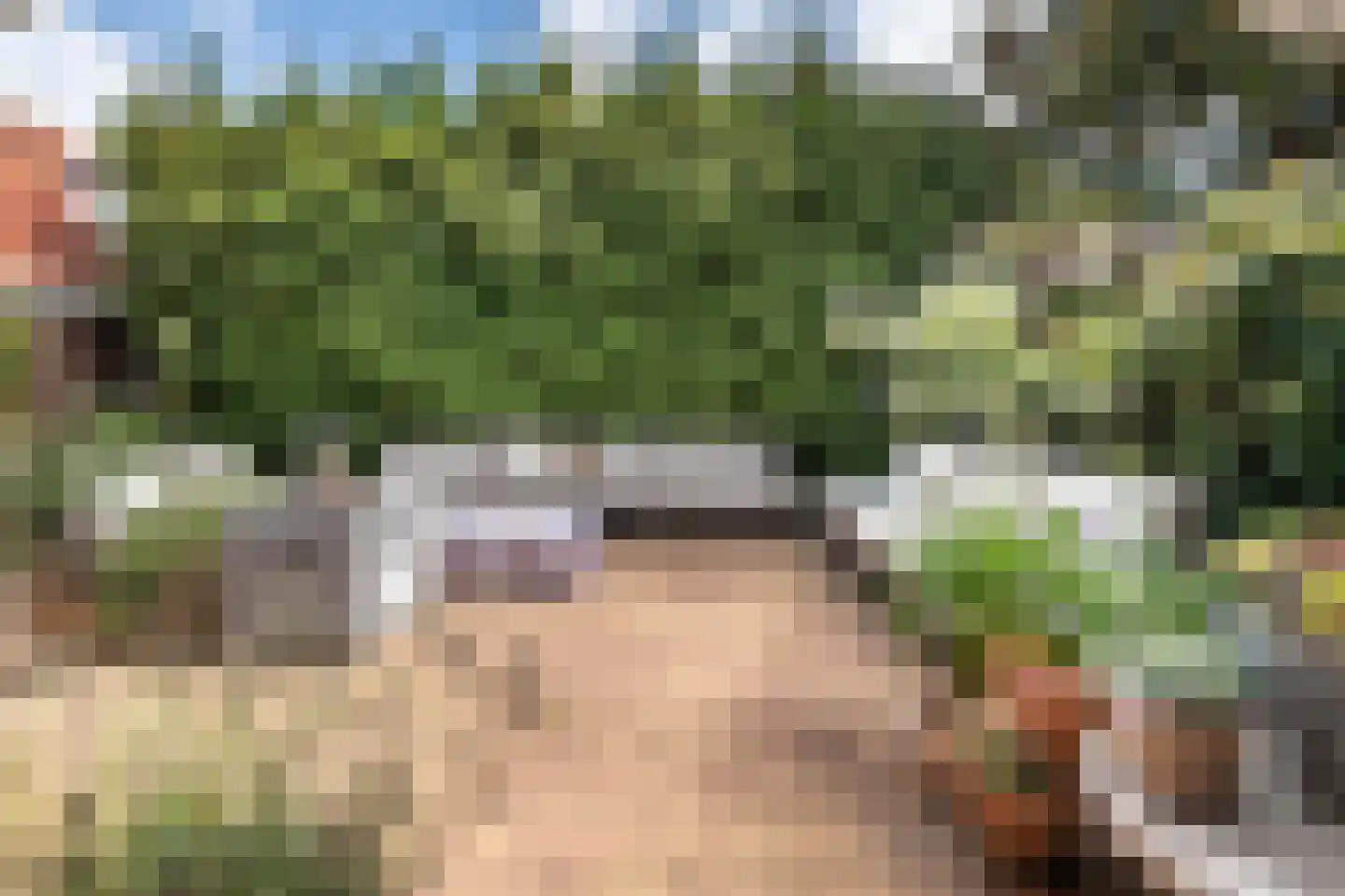 Pernambucolaan 15 Overveen thumbnail 30