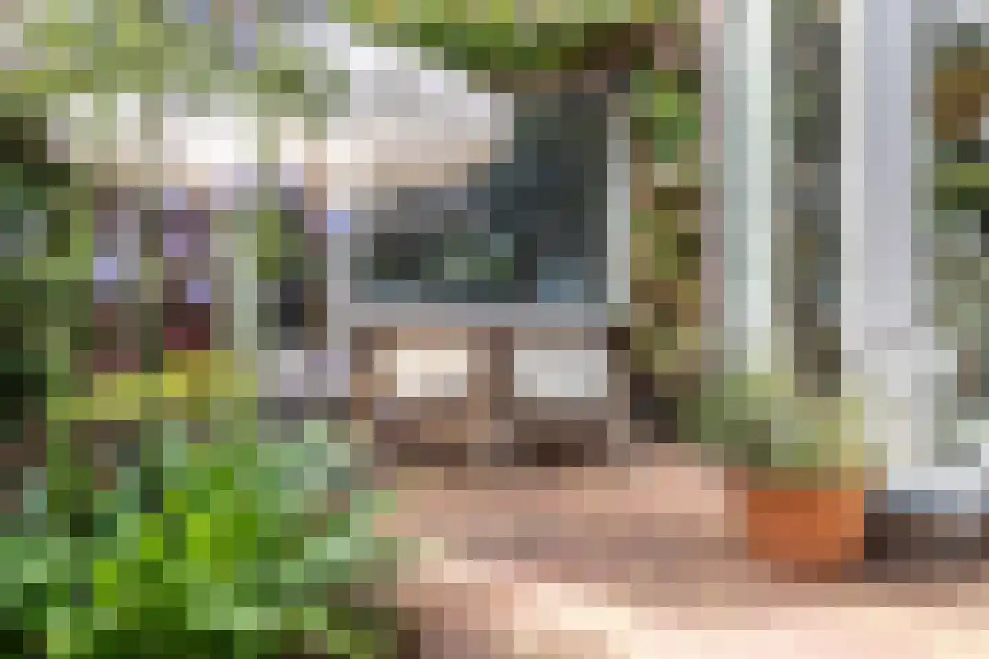 Pernambucolaan 15 Overveen thumbnail 31