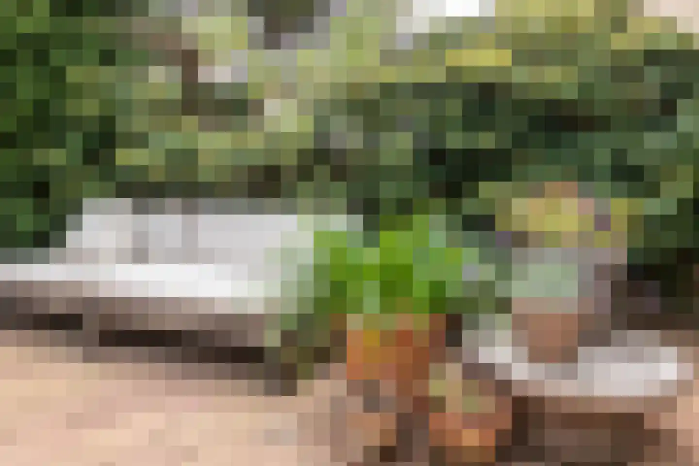 Pernambucolaan 15 Overveen thumbnail 32