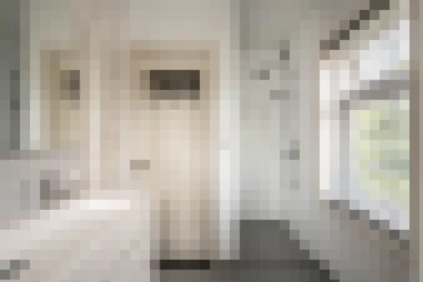 Pernambucolaan 15 Overveen thumbnail 40