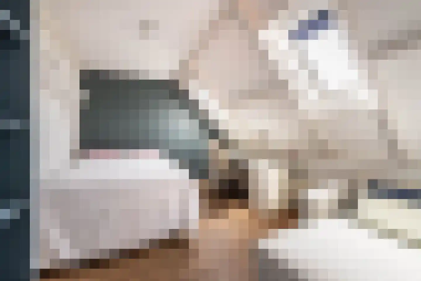 Pernambucolaan 15 Overveen thumbnail 47