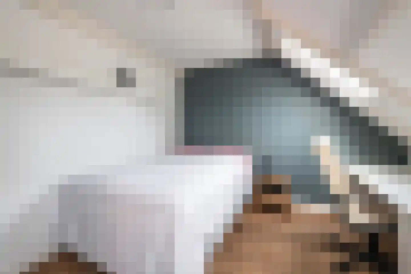 Pernambucolaan 15 Overveen thumbnail 48