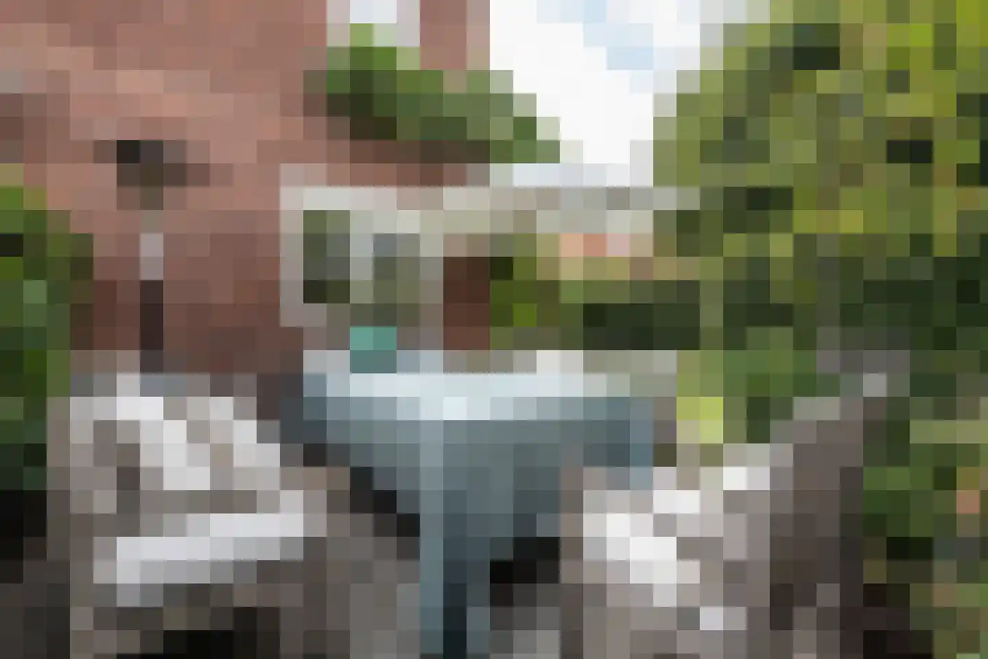 Pernambucolaan 15 Overveen thumbnail 5