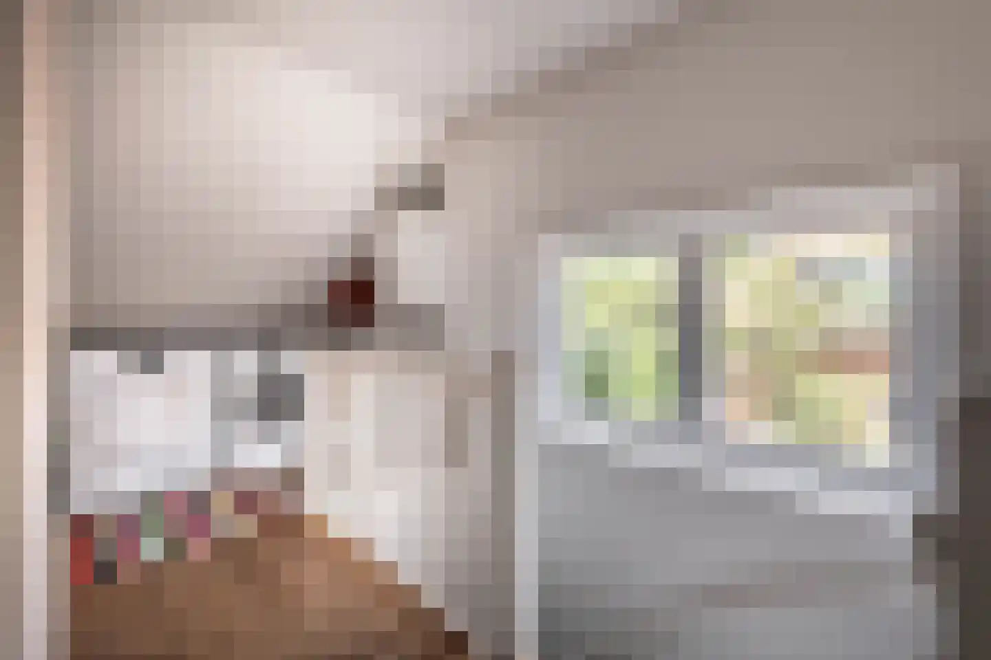Pernambucolaan 15 Overveen thumbnail 50